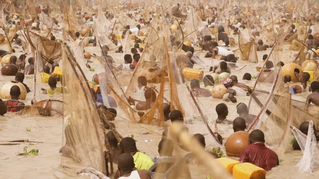 Excitement Builds at Argungu Festival as Fishermen Dive into River Ahead of Presidential Arrival