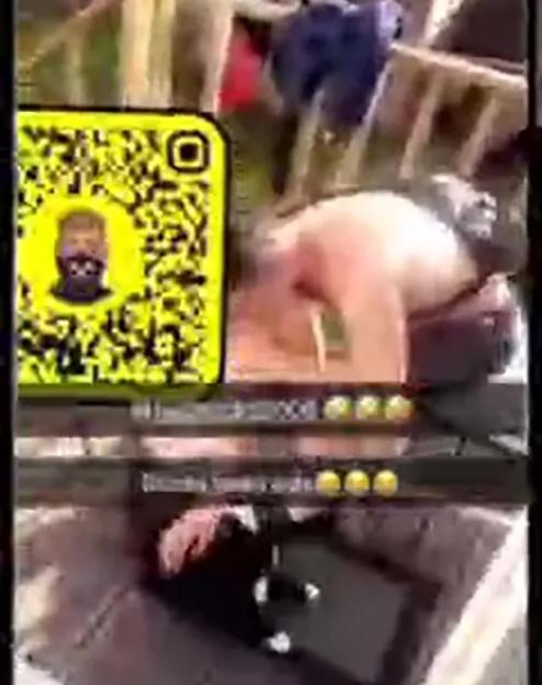 NINTCHDBPICT001077028284