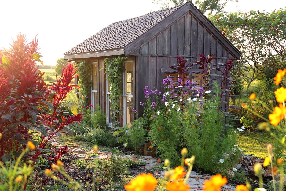 A rustic garden shed surrounded by colorful summer flowers.