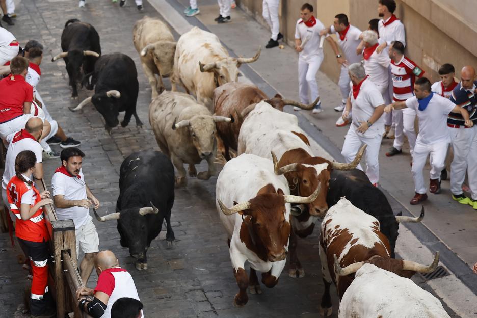 Running of the Bulls at Pamplona's San Fermin festival