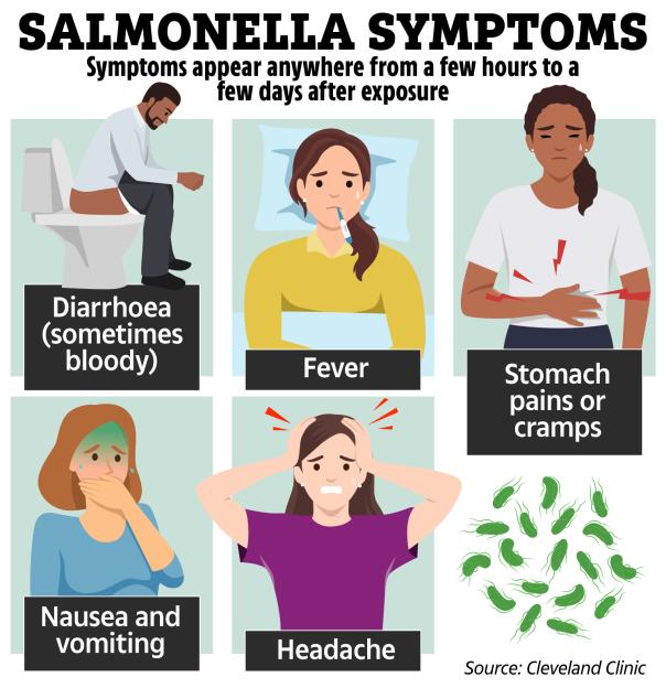 Illustration of Salmonella symptoms: diarrhea (sometimes bloody), fever, stomach pain or cramps, nausea and vomiting, and headache.