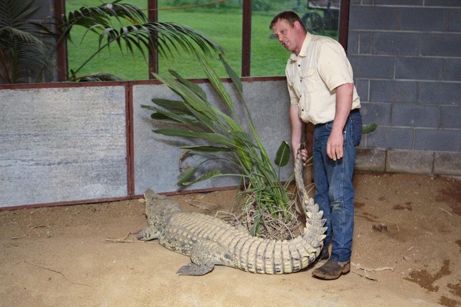 Old Hurst: Three¿Year¿Old Pushed Into Crocodile Enclosure