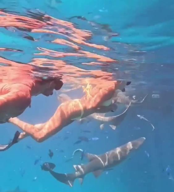 Aryna Sabalenka Dives with Sharks in a Yellow Bikini During Her Luxurious Maldives Getaway