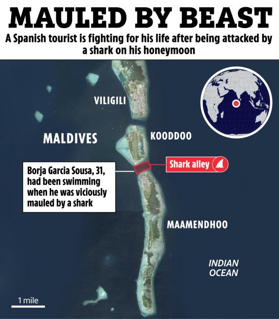 Map showing Shark Alley between Kooddoo and Maamendhoo in the Maldives, where a tourist was attacked by a shark.