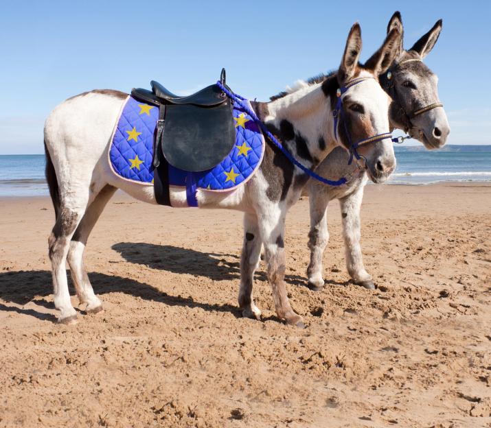 EU: Once a Powerhouse, Now Just a Relaxed Donkey on Blackpool Beach as Rivals Surge Ahead!