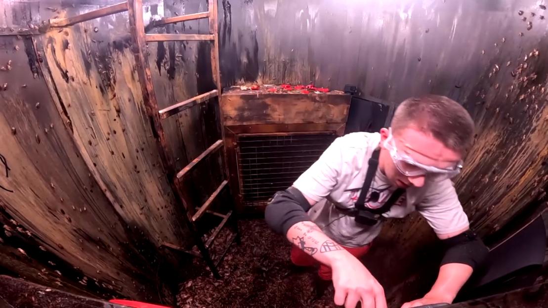 NINTCHDBPICT001041428653