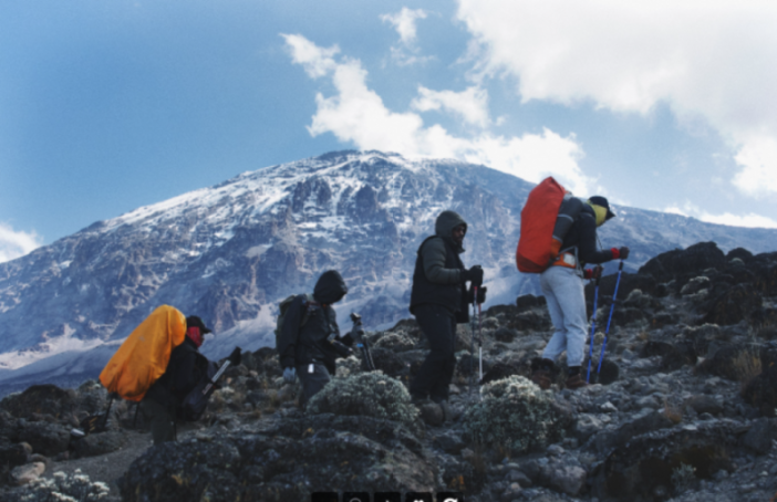FRNDS Collective: Capturing Powerful Stories and Fostering Vibrant Creative Communities