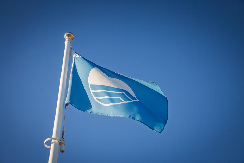 A blue flag with a white wave and heart logo waves against a clear blue sky.
