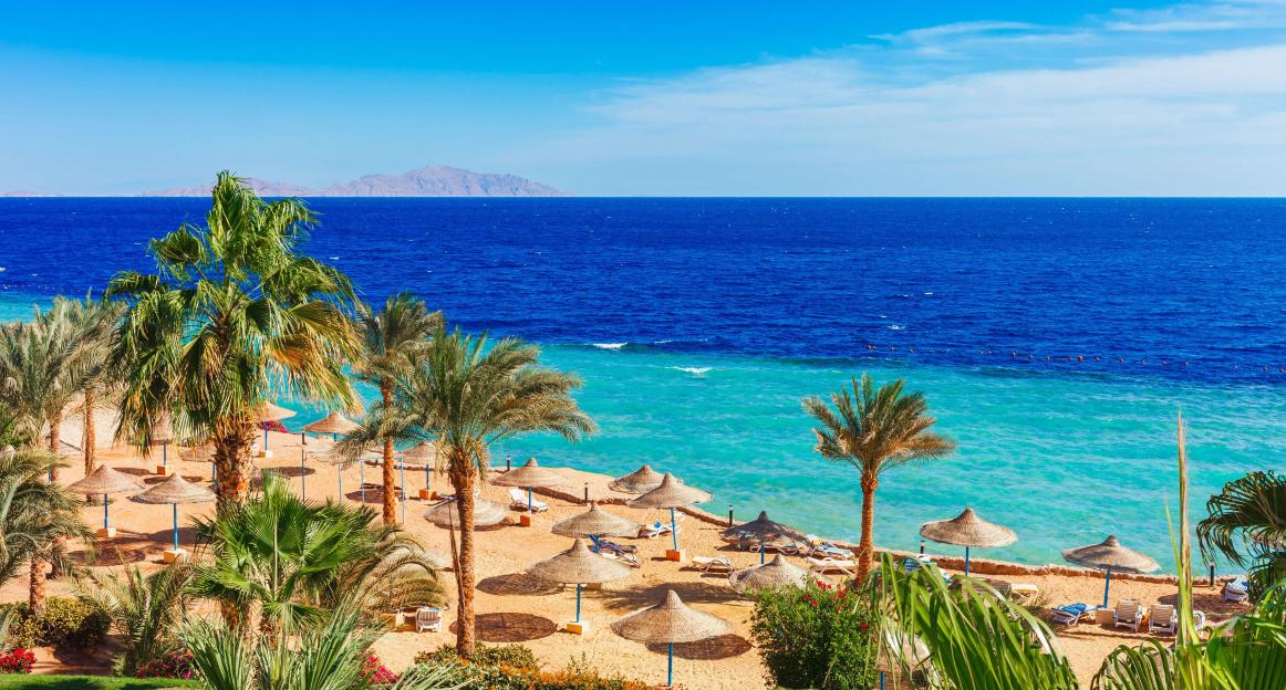 Beach with straw umbrellas and palm trees on the Red Sea in Sharm el Sheikh, Egypt.