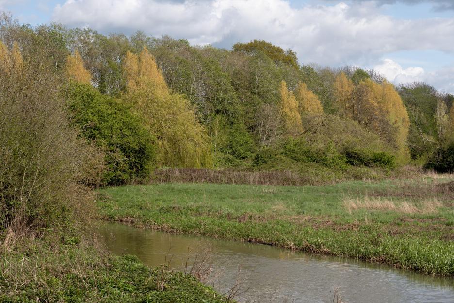 NINTCHDBPICT001044346638