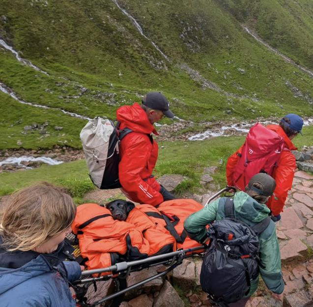 Dog rescued from Ben Nevis suspected to have eaten discarded cannabis