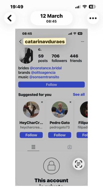 An Instagram page for "catarinavduraes" with 59 posts, 706 followers, and 446 friends.