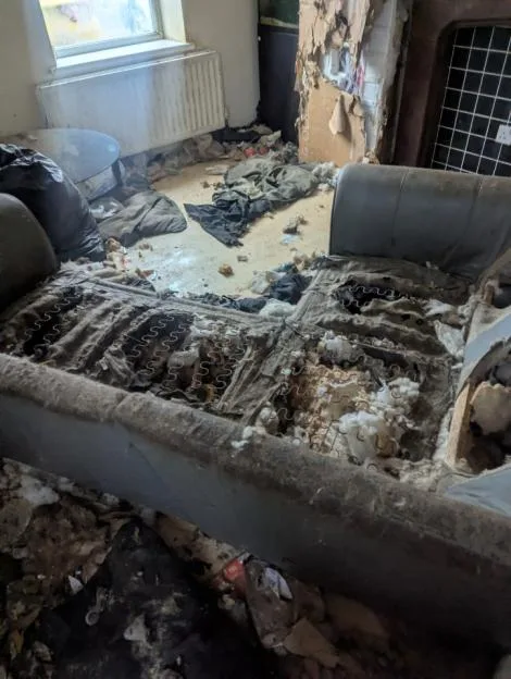 A room filled with rubbish and faeces, with a destroyed sofa in the foreground.