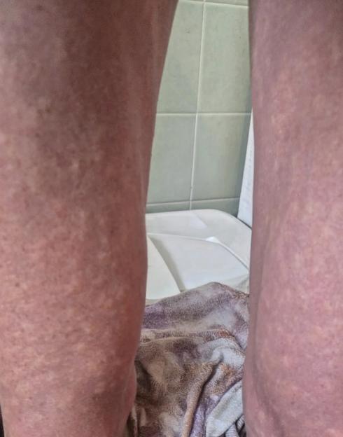 NINTCHDBPICT001076637490