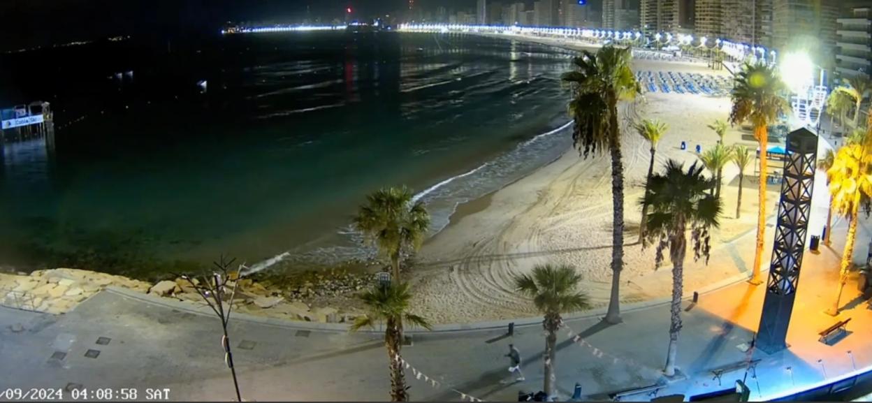 NINTCHDBPICT000995204256