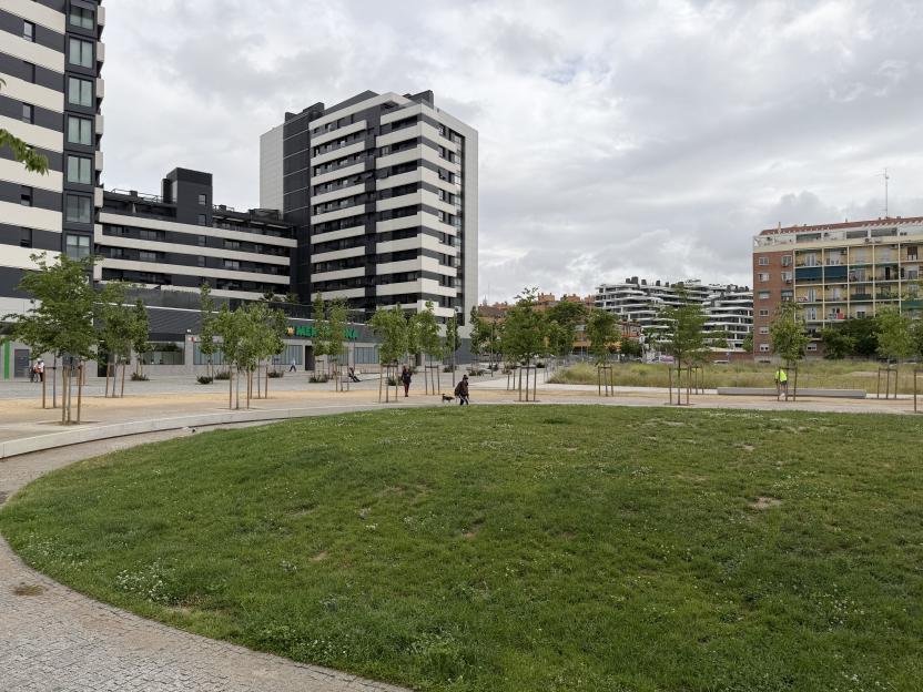 NINTCHDBPICT001077034986