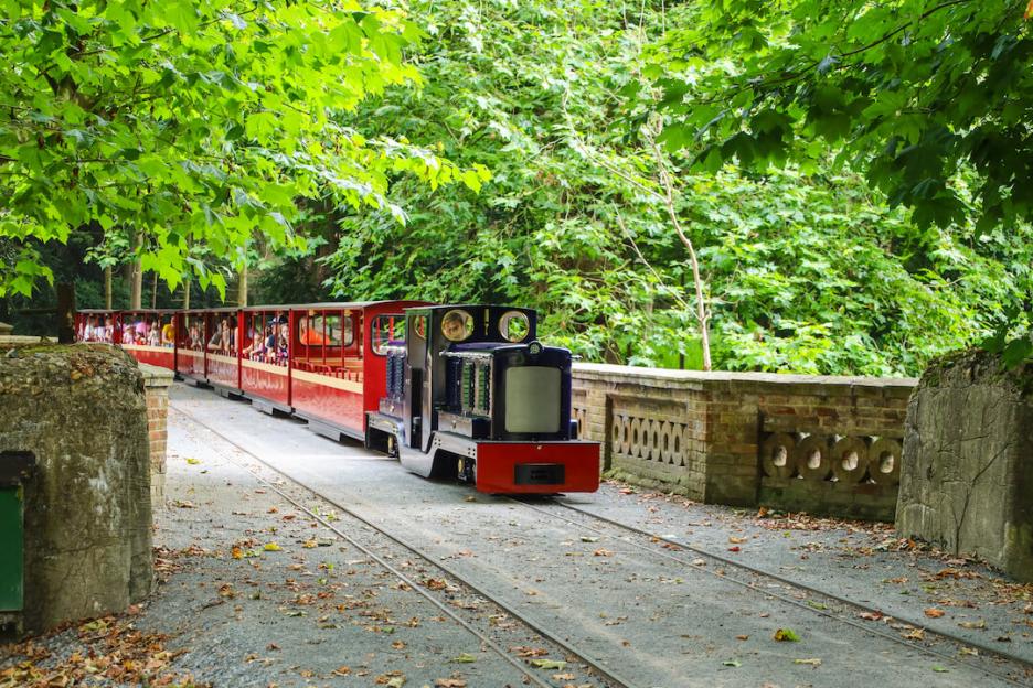 A miniature train with passengers moving through a green, wooded area.