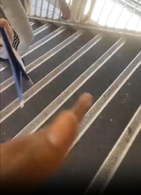 A person's leg and arm extended towards a railing on a staircase.