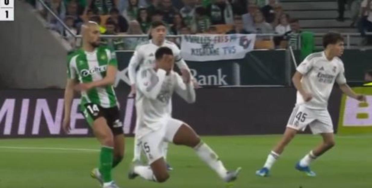 NINTCHDBPICT001076103540