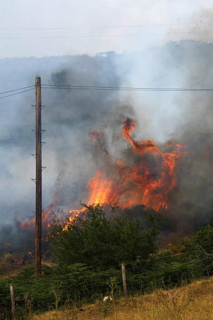 Wildfire, Kington, Hereforedshire, UK
