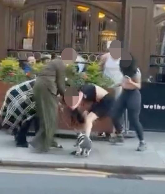 VIDEO: Heatwave sparks female fury as mass brawl breaks out in Wetherspoons beer garden
