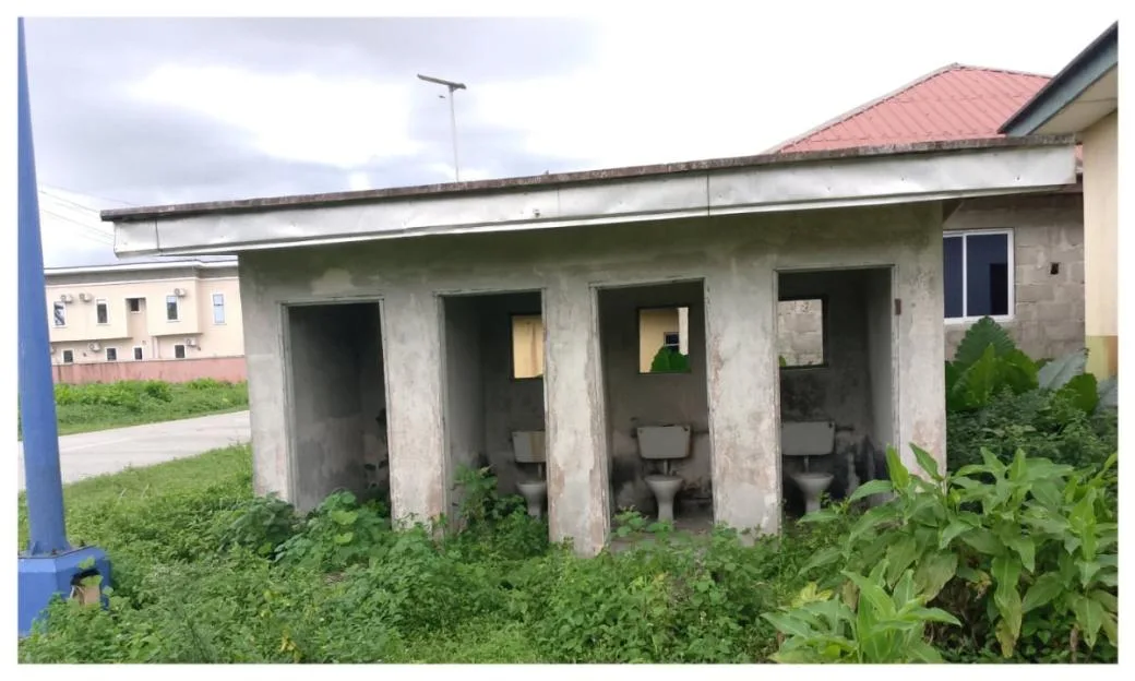 Weed overtakes Delta primary school, as pupils drink water from rust pipe