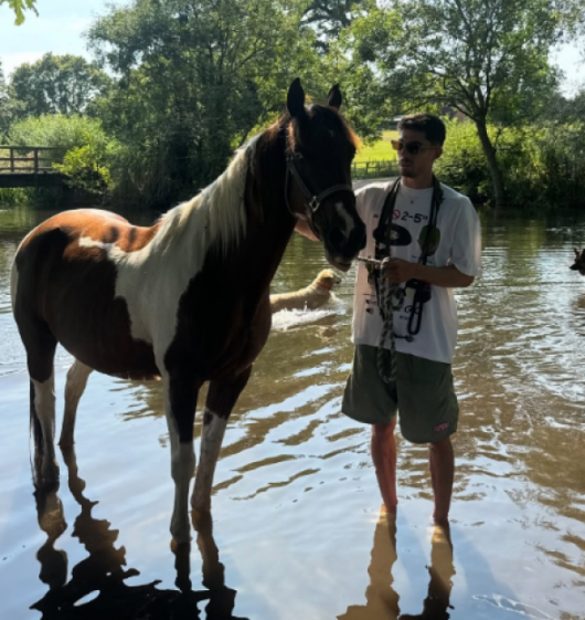 Arsenal's Kai Havertz Mourns as Heartbroken Wife Pays Tribute to Her Beloved Horse