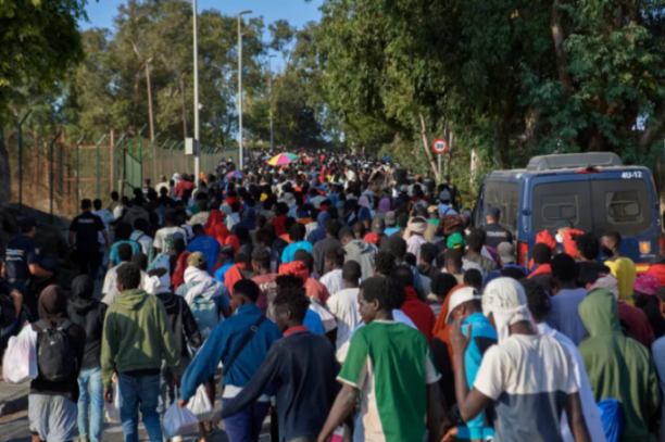 A large crowd of migrants walk down a road lined with trees and a fence.