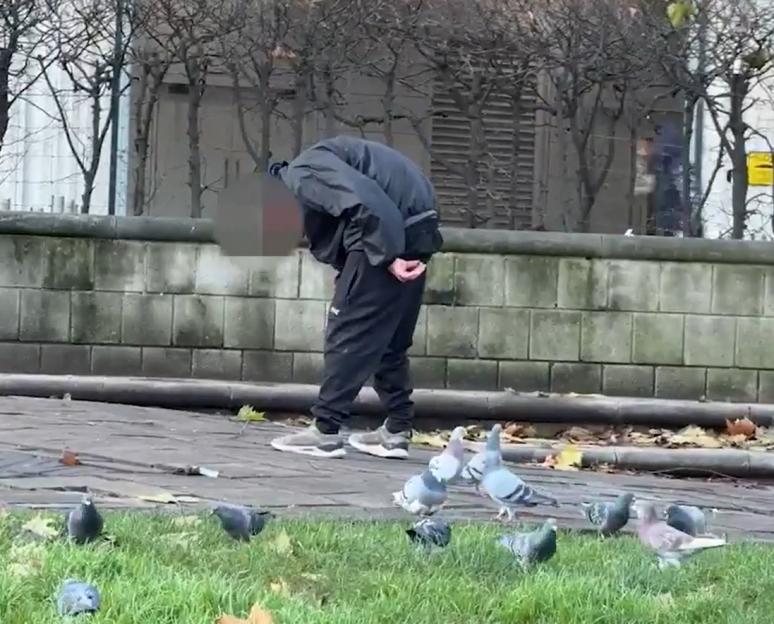 A man appearing frozen from drug use on a Birmingham street, with pigeons nearby.