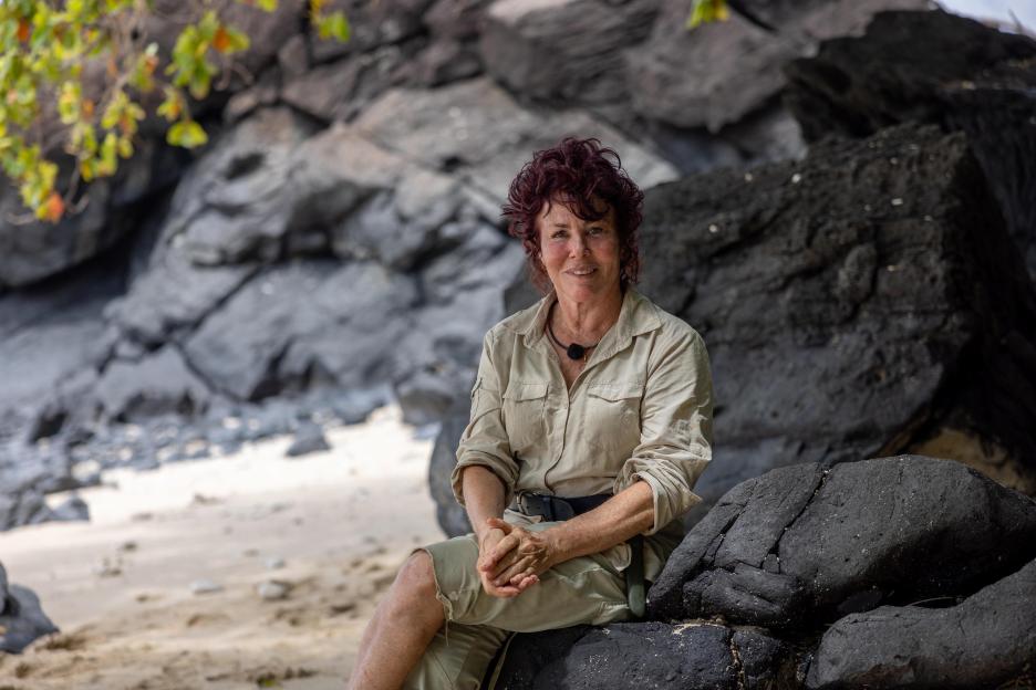 NINTCHDBPICT000814803959