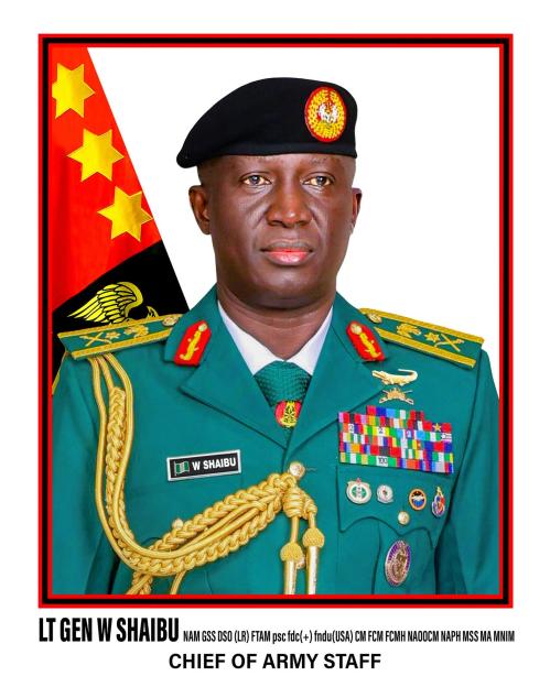 Army Sets the Record Straight on Rumored Abduction of Brigade Commander in Borno