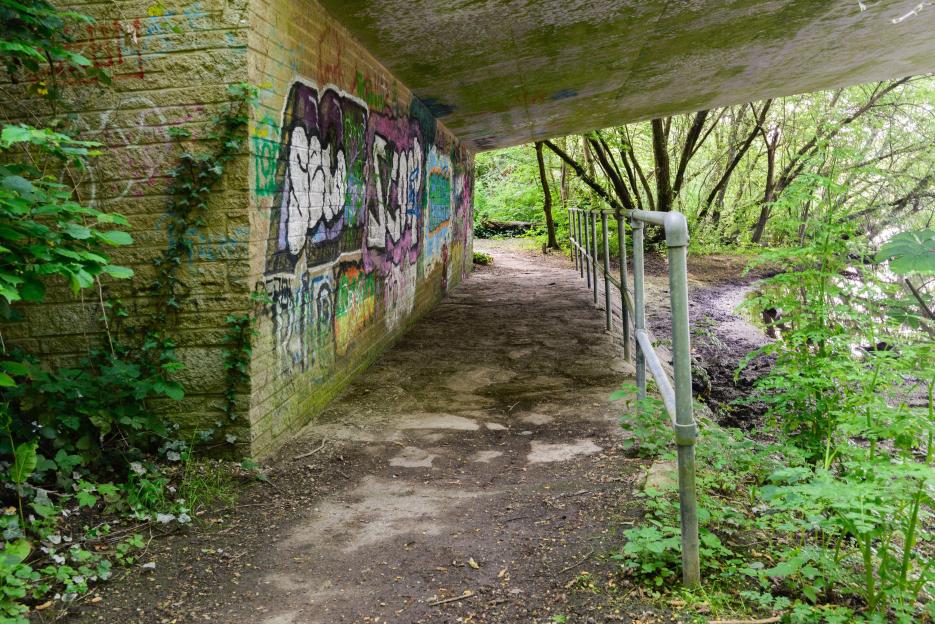 16-Year-Old Victim Speaks Out After Being Raped by Two Teens Who Filmed the Attack, Condemns Their Jail-Free Sentence
