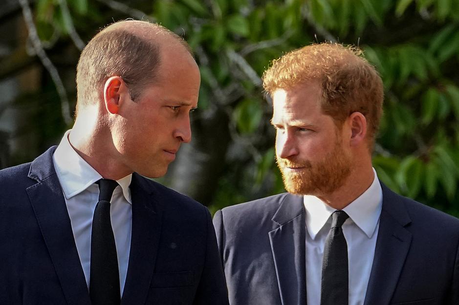 Unraveling the Royal Rift: What Caused the Fallout Between Prince Harry and Prince William?