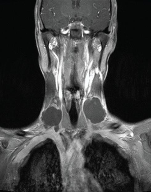 NINTCHDBPICT001069495077