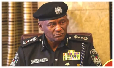 "IGP Disu: Police Need to Stop Illegal Weapons Before They Fall into Criminal Hands"