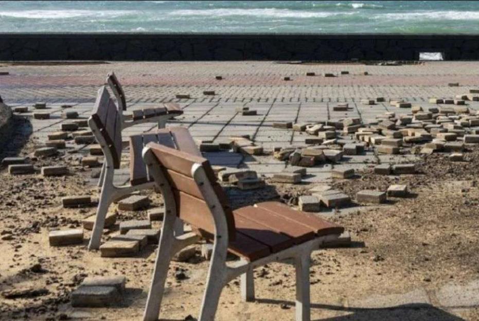 NINTCHDBPICT001069251907