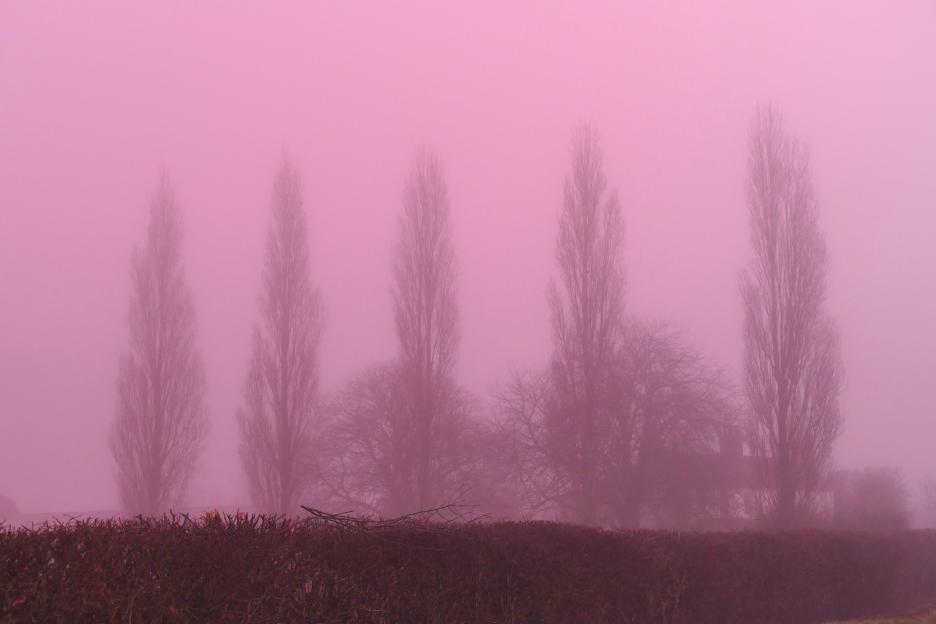 Seasonal weather, pink fog, Dunsden, Oxfordshire, UK - 17 Dec 2025