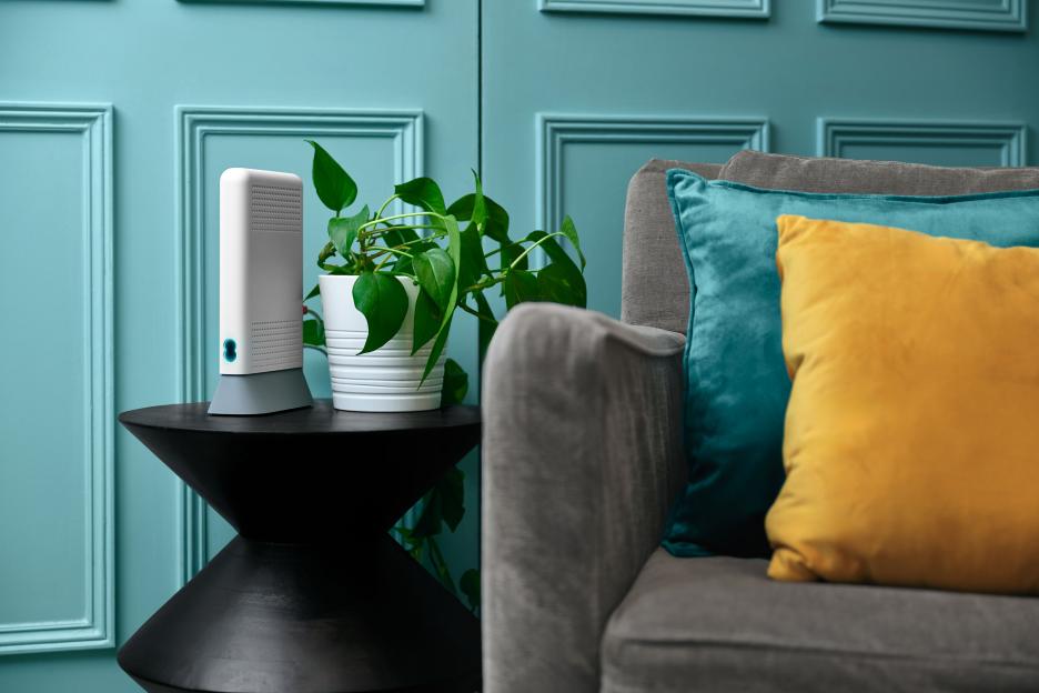 Smart Hub 7 Plus next to a potted plant on a black side table.