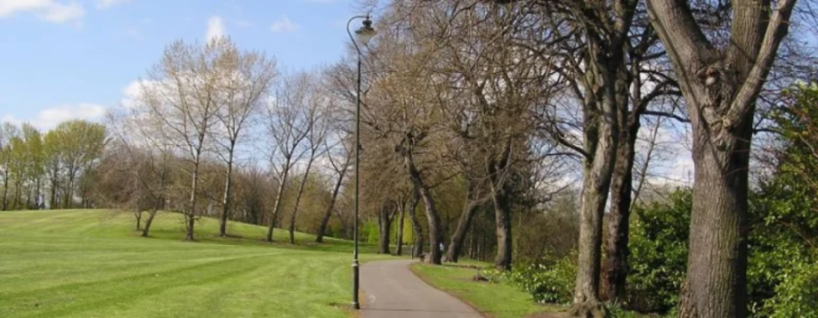 A path curving through a park with a light pole on the right and trees with bare branches lining the path, with a green grassy hill on the left under a blue sky with scattered clouds.