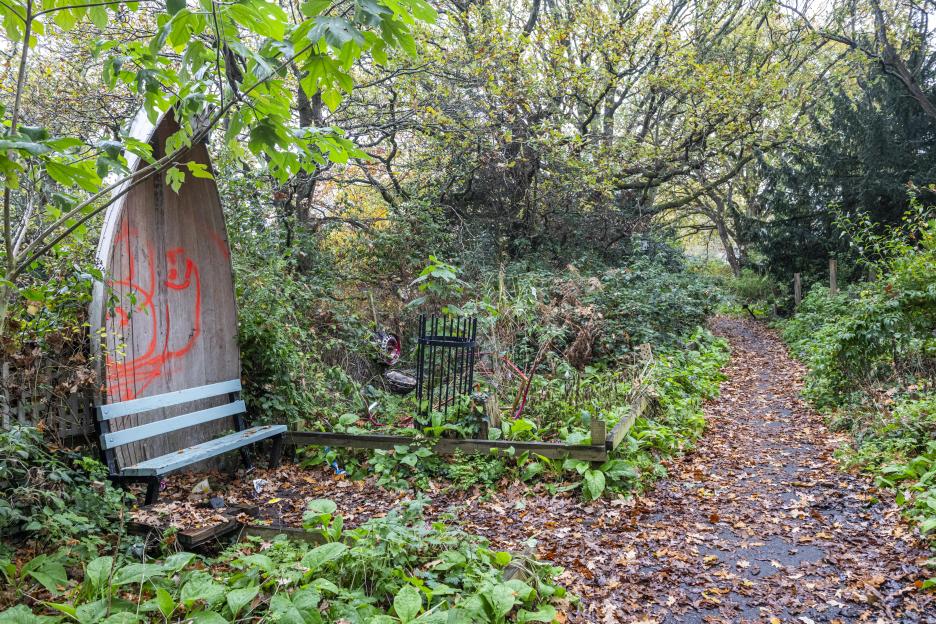 A leafy, winding footpath covered in autumn leaves, with an unpainted wooden structure tagged with red graffiti and a light blue bench to the left.