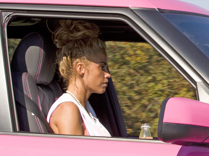 NINTCHDBPICT000005111306