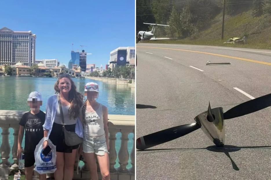 Tragic Emergency Landing: Mother of Two Loses Life as Plane Crashes on Busy Motorway, Colliding with Four Cars