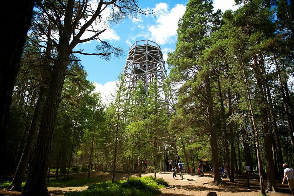 A tall wooden observation tower, called a Fire Tower, rises above the pine forest at Landmark Forest Adventure Park in Scotland, with visitors walking on paths below.