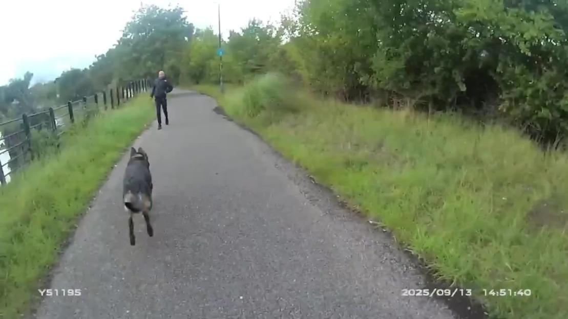 Video still showing a dog running after a man on a paved path next to a body of water and trees.