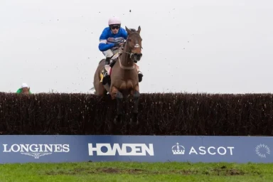 Paul Nicholls says Pic D’Orhy – the horse removed from his yard – is ‘almost a certainty’ to win ‘soft’ Charlie Hall