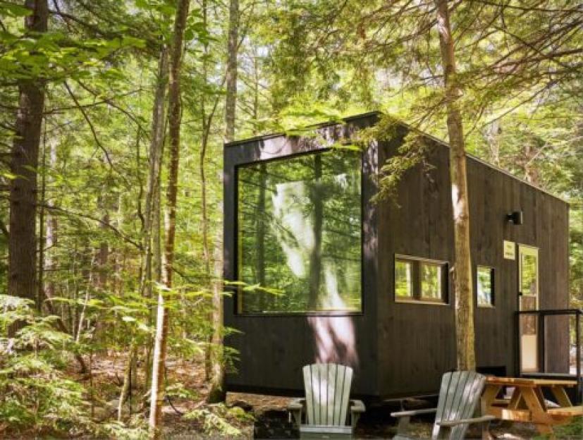 A modern black cabin with large windows reflecting trees, nestled in a dense forest.