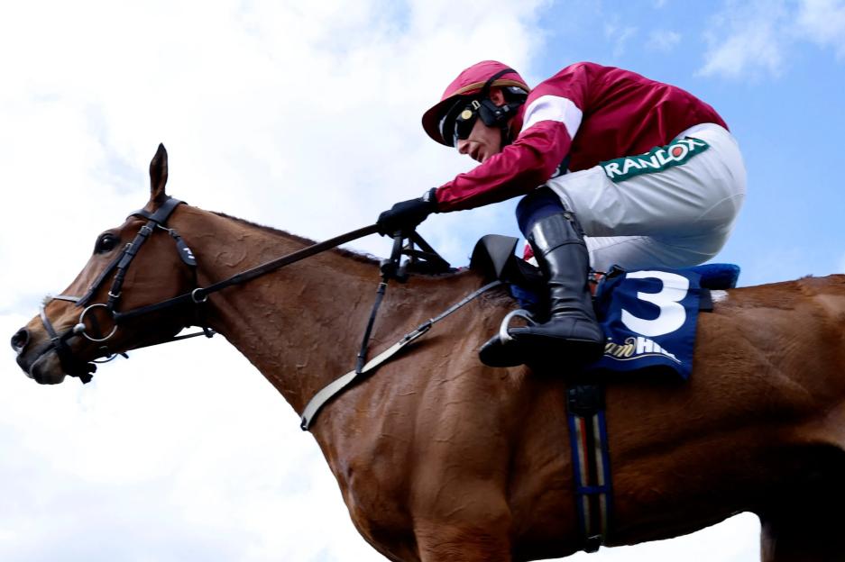 Willie Mullins Heartbroken as Gold Dancer Passes Away Following Triumphant Grand National Festival Victory