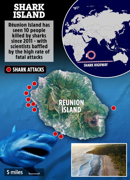Collage of a world map showing Reunion Island and the "Shark Highway", a map of Reunion Island with locations of shark attacks, a great white shark, and a beach.