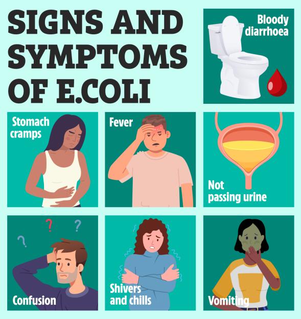 a poster showing the signs and symptoms of e.coli