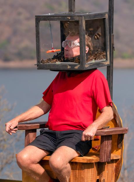 Harry Redknapp with his head inside a box full of cockroaches and other insects, during a challenge on "I'm A Celebrity... Get Me Out Of Here! South Africa"